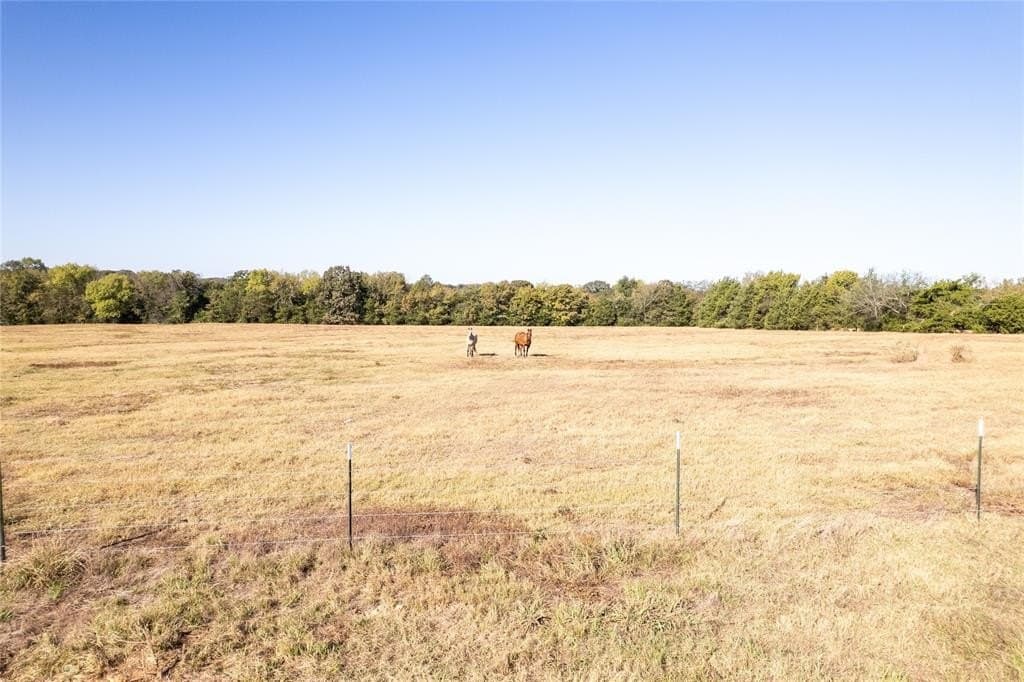 139.98 acres in Titus County - photo 21