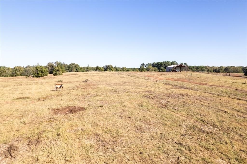 139.98 acres in Titus County - photo 19