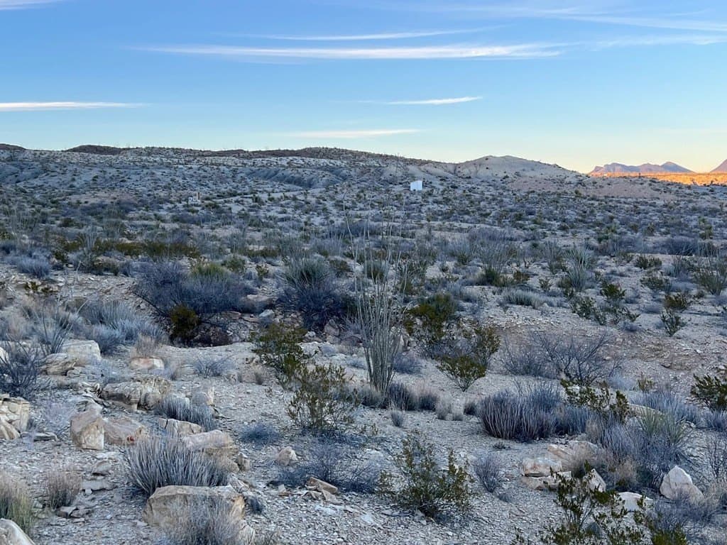 20 acres in Brewster County - photo 4