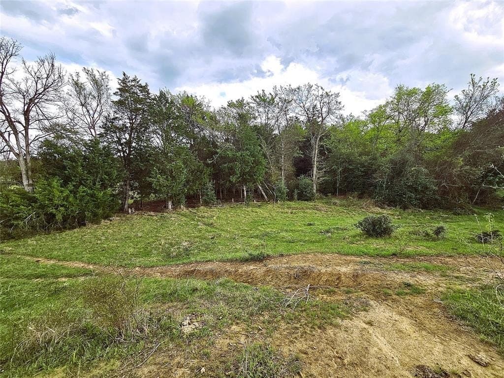 55.76 acres in Limestone County - photo 17