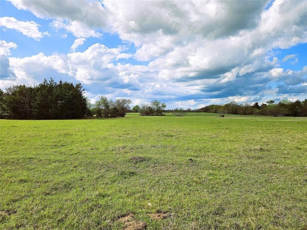 55.76 acres in Limestone County - photo 6