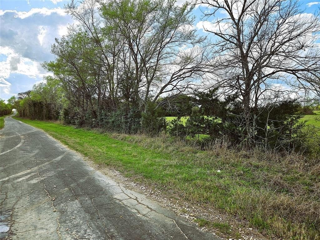 55.76 acres in Limestone County - photo 19