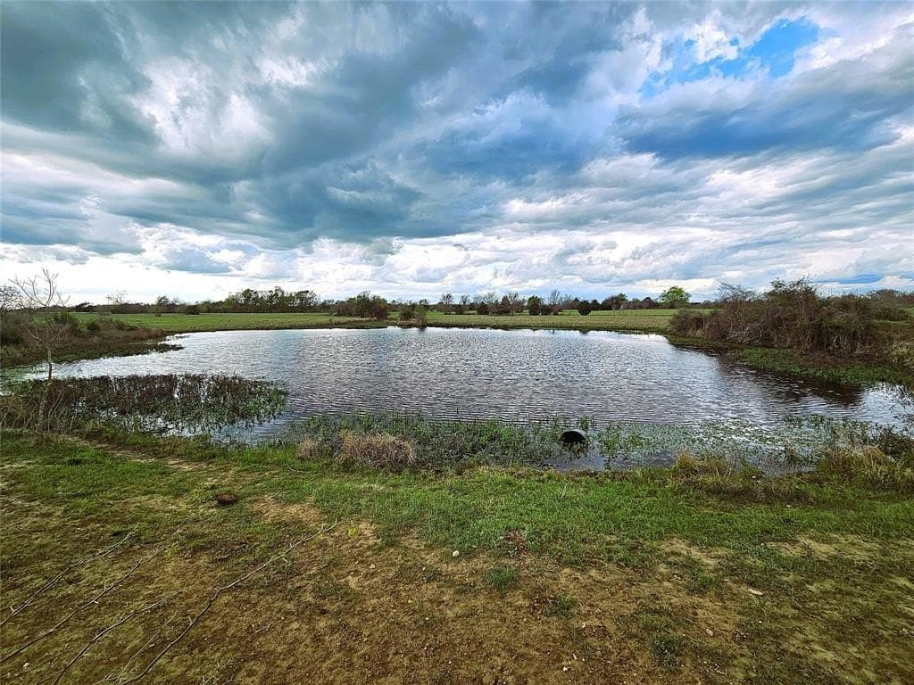 55.76 acres in Limestone County - photo 13