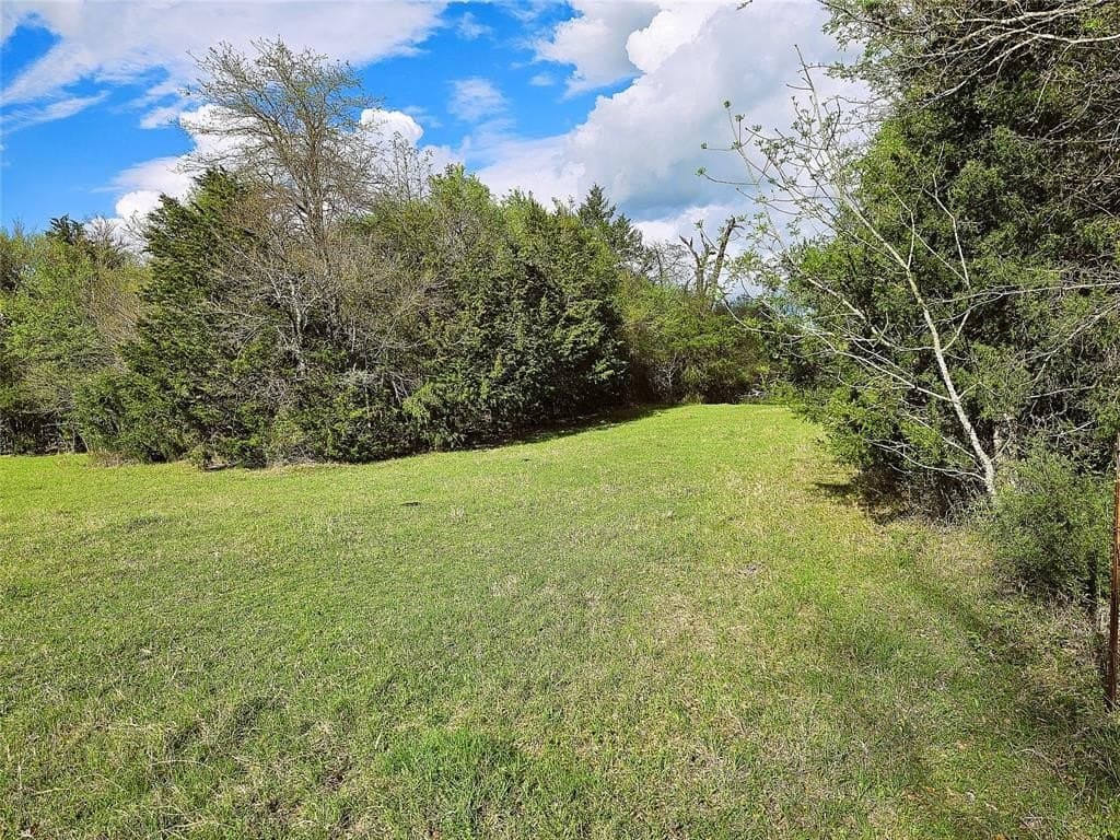 55.76 acres in Limestone County - photo 20
