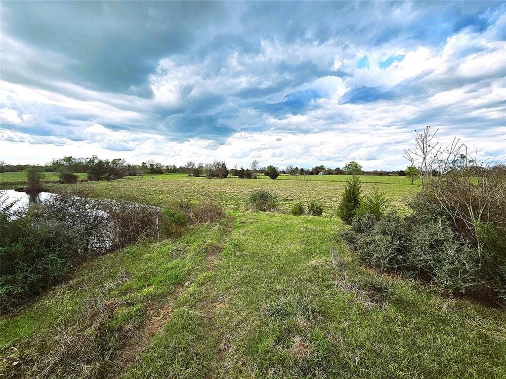 55.76 acres in Limestone County - photo 15