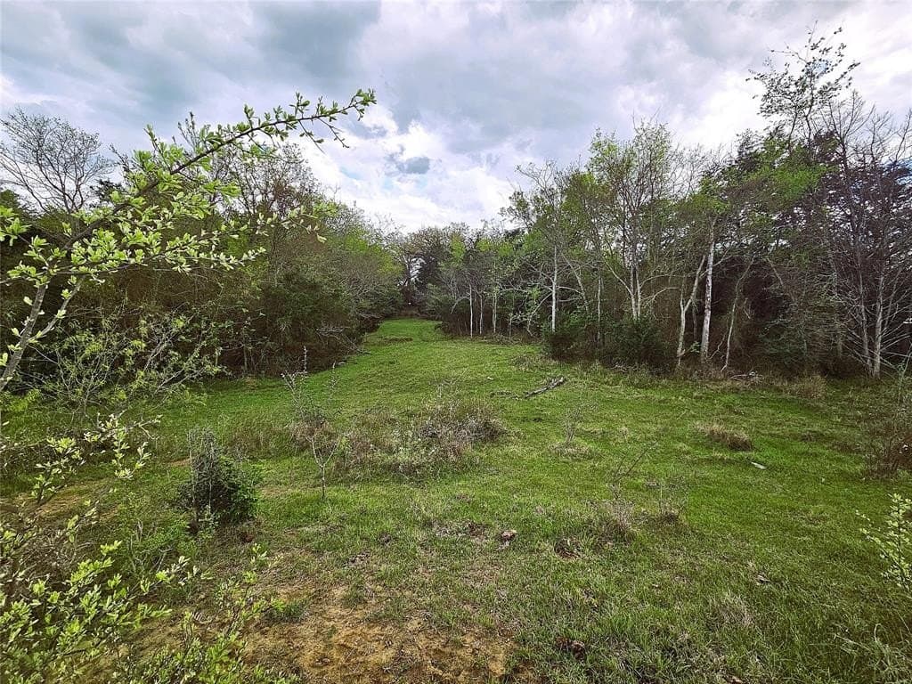 55.76 acres in Limestone County - photo 18