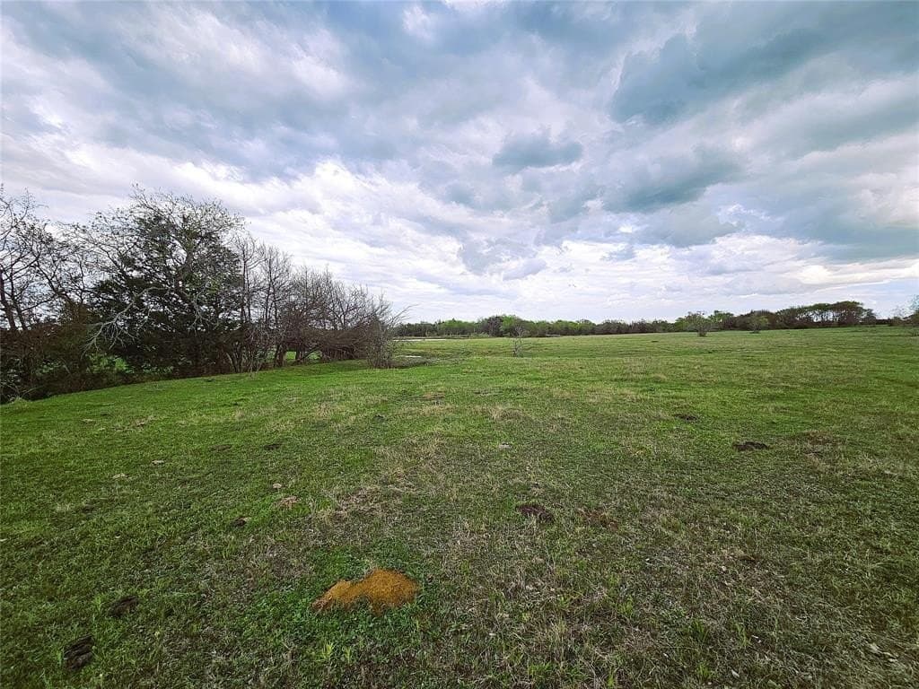 55.76 acres in Limestone County - photo 22