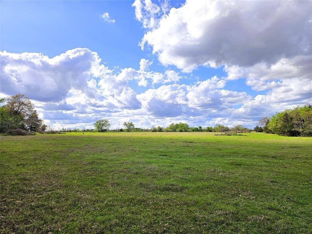 55.76 acres in Limestone County - photo 3