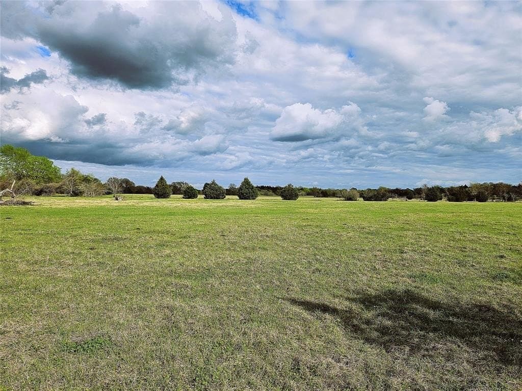 55.76 acres in Limestone County - photo 7