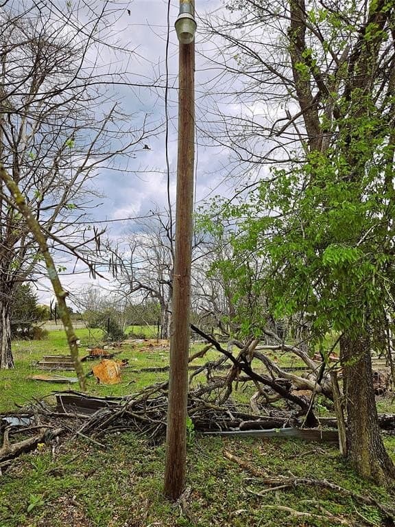 55.76 acres in Limestone County - photo 9