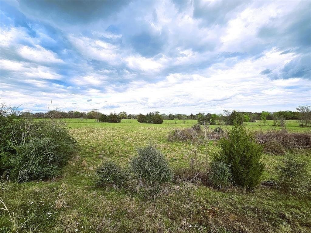 55.76 acres in Limestone County - photo 16