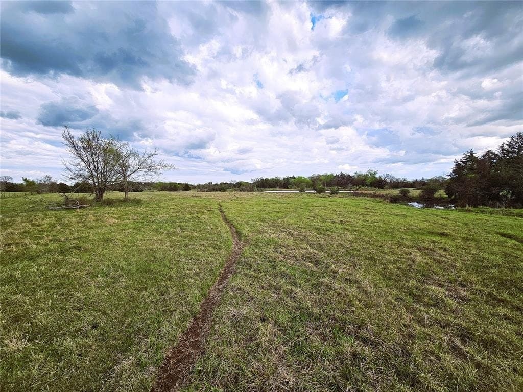 55.76 acres in Limestone County - photo 11
