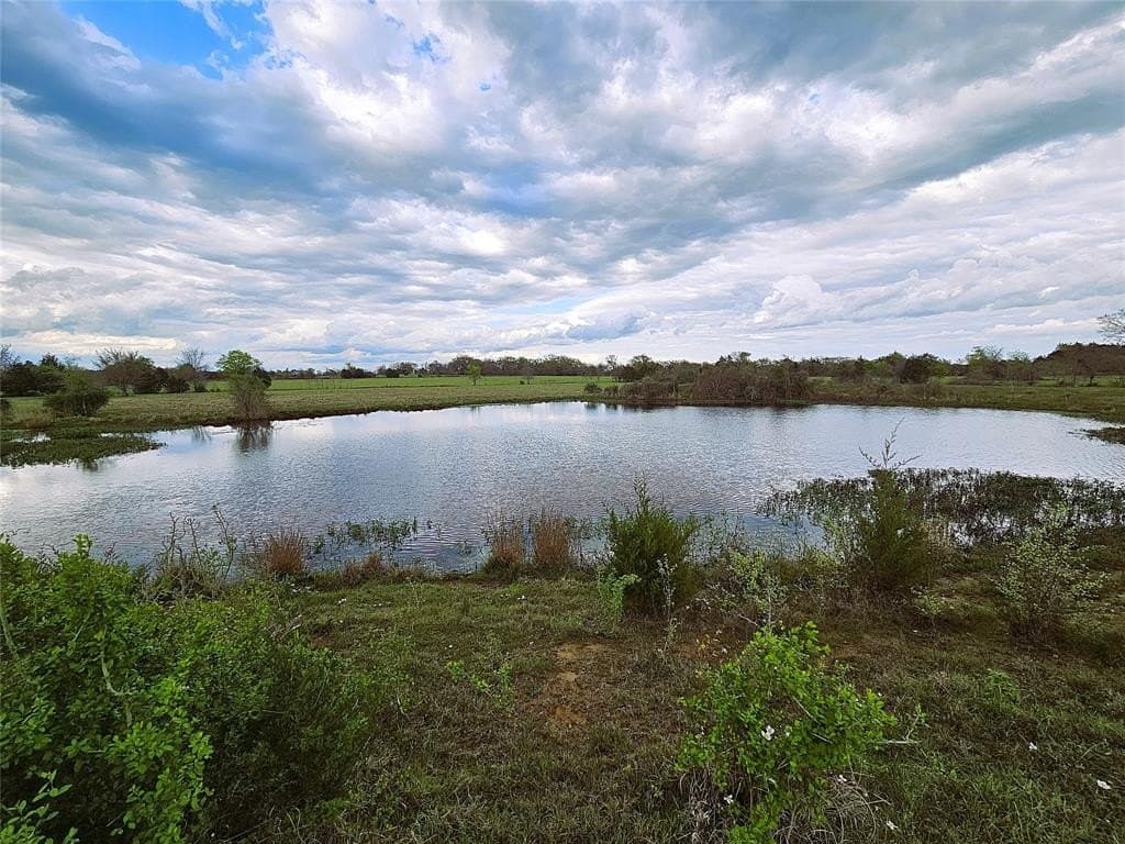 55.76 acres in Limestone County - photo 14