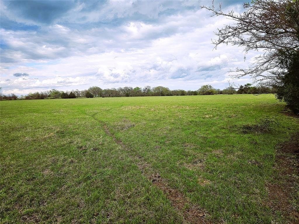 55.76 acres in Limestone County - photo 5