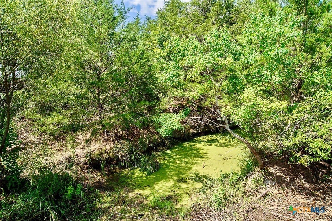 18.3 acres in Lavaca County - photo 4
