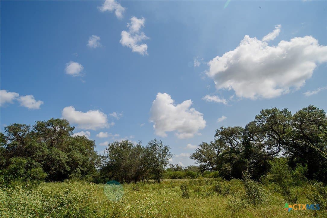 18.3 acres in Lavaca County - photo 6