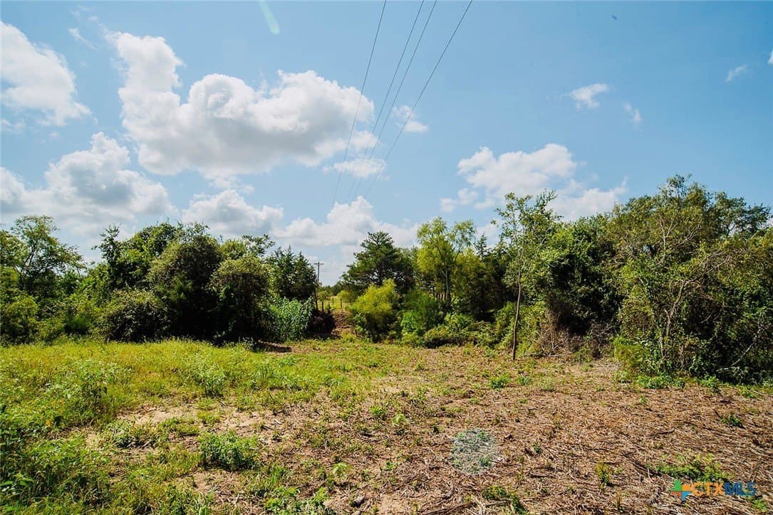 18.3 acres in Lavaca County - photo 5