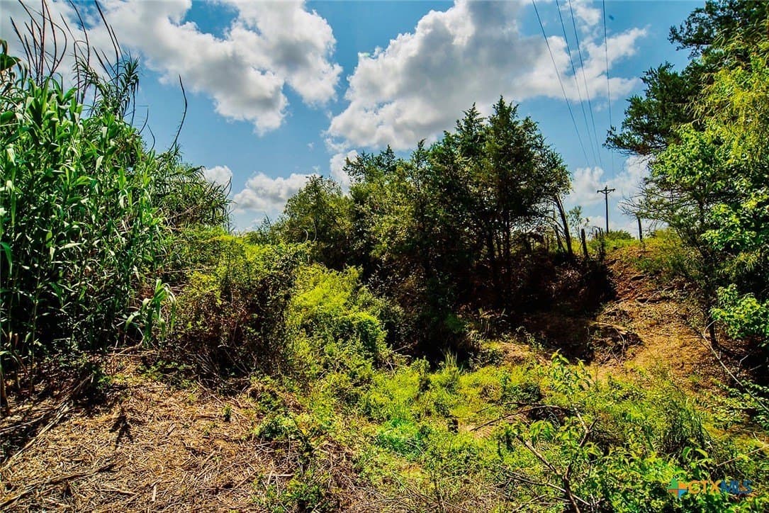18.3 acres in Lavaca County - photo 2