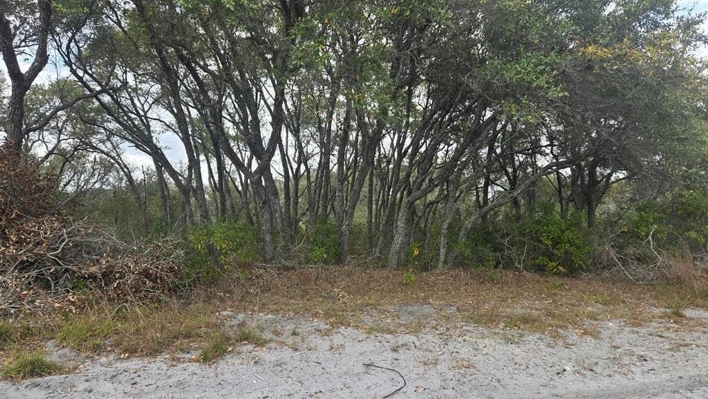 10 acres in Texas County - photo 2