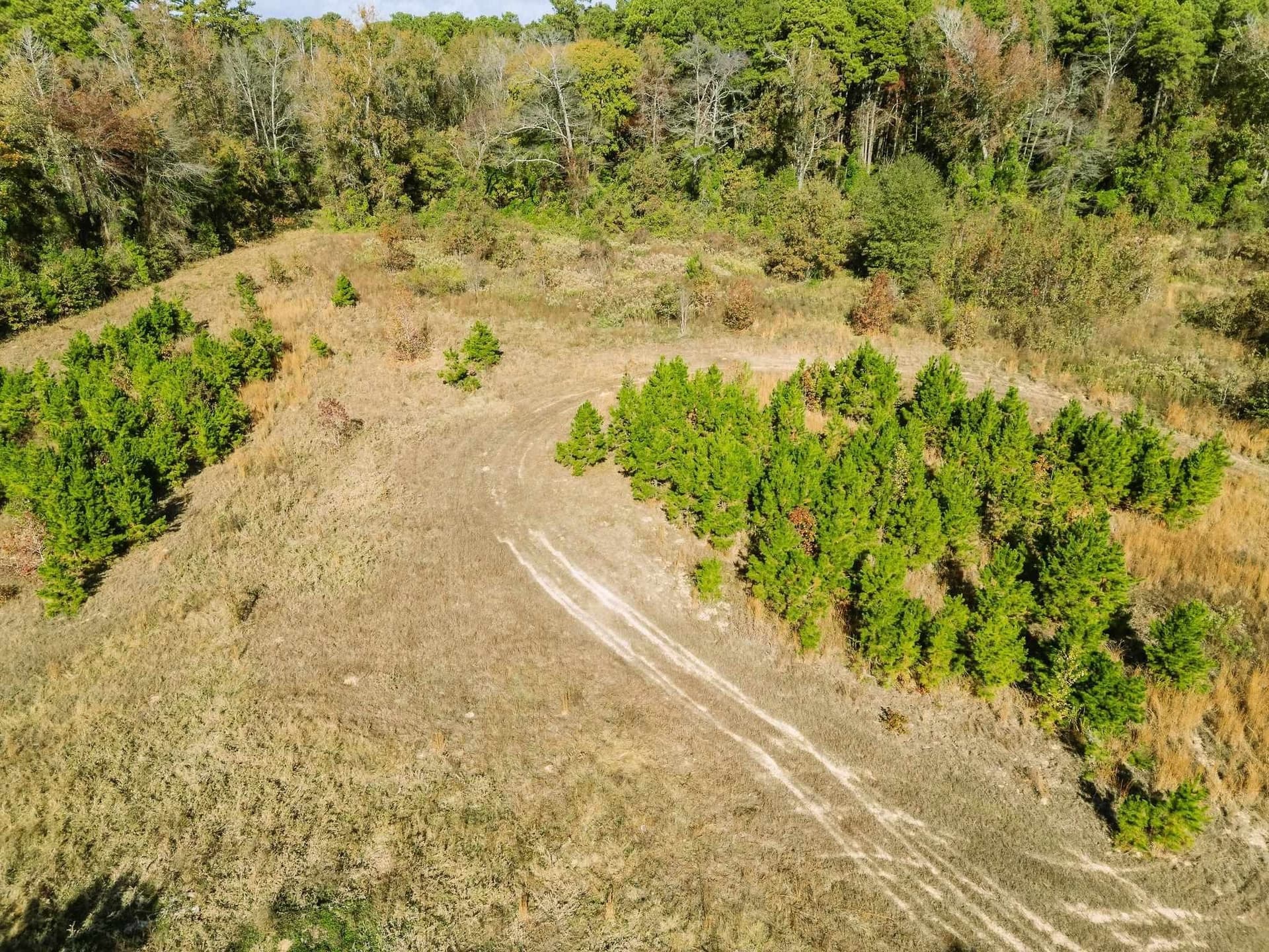 11.6 acres in Texas County - photo 4