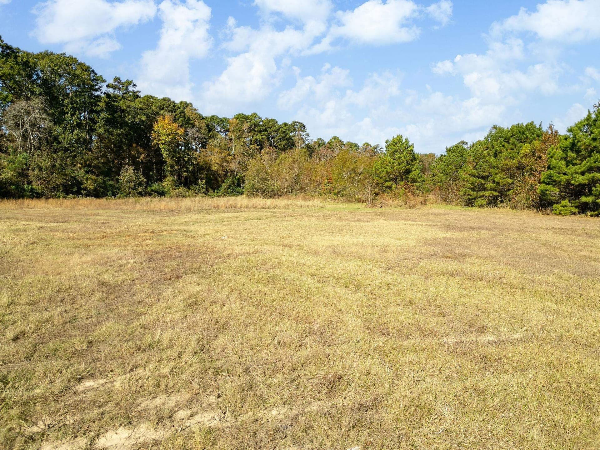 11.6 acres in Texas County - photo 6
