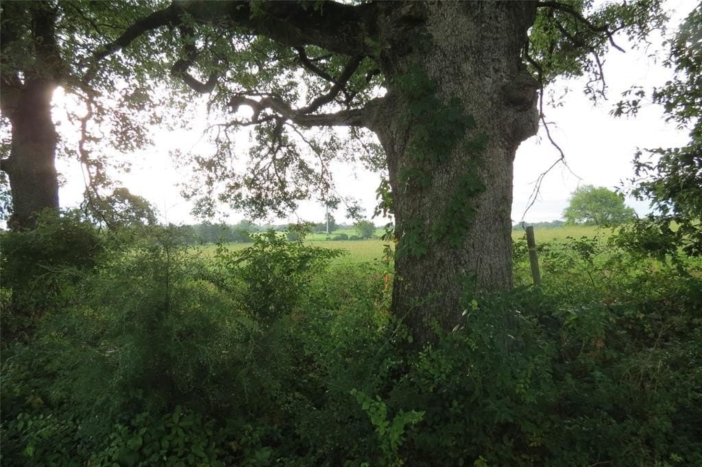 3.42 acres in Wood County - photo 5