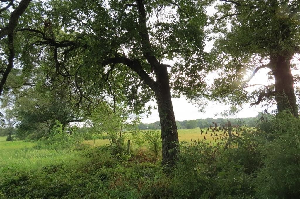 3.42 acres in Wood County - photo 2
