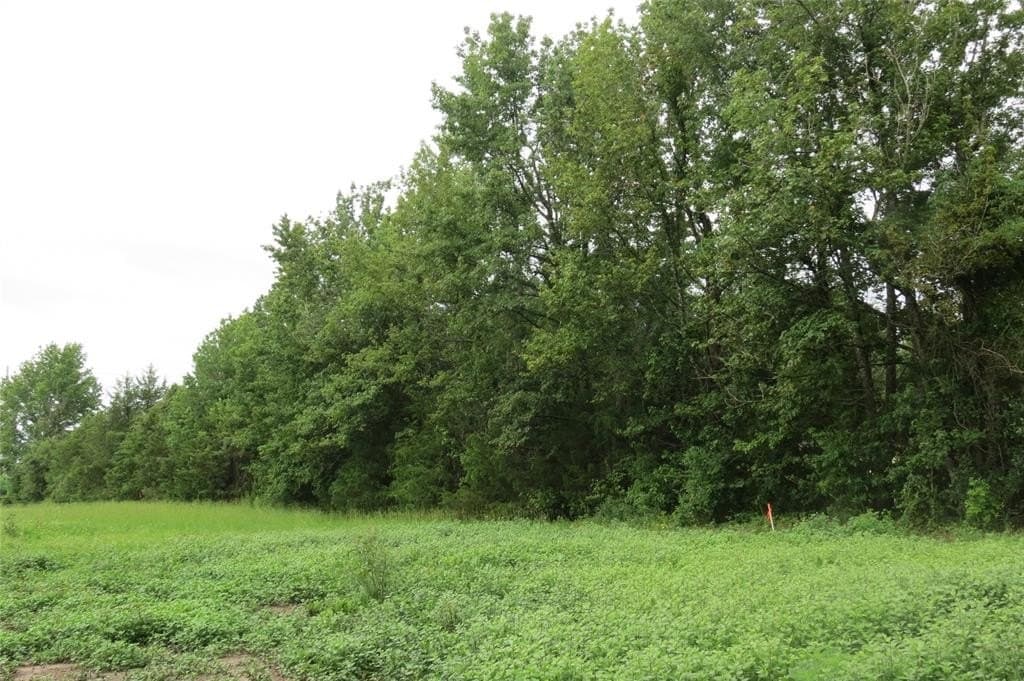 3.42 acres in Wood County - photo 3
