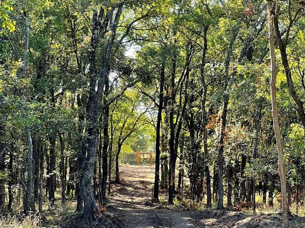 1.93 acres in Denton County - photo 4