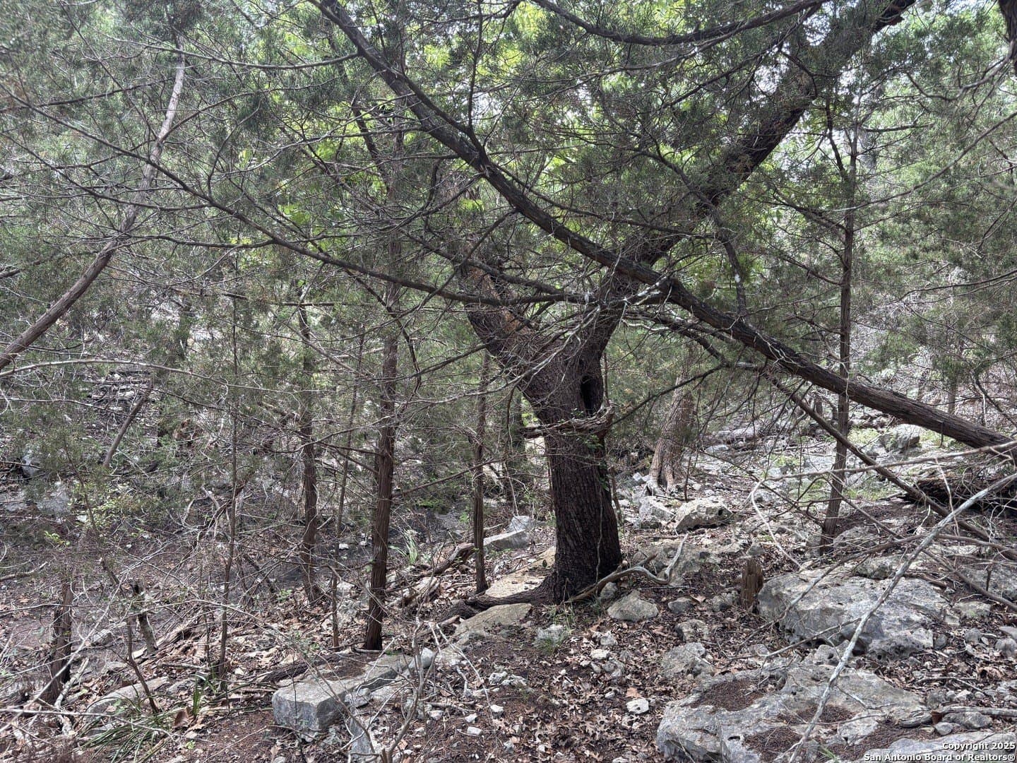 1.37 acres in Comal County - photo 5