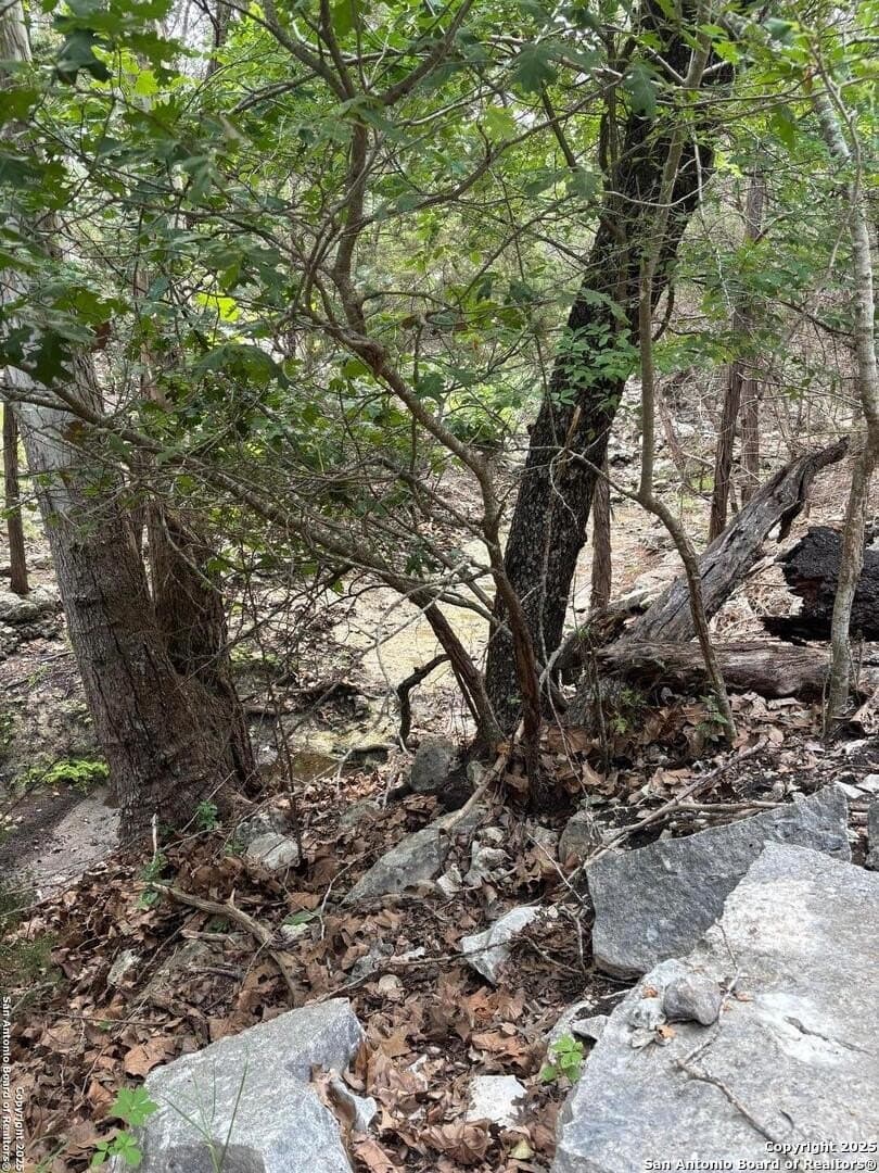 1.37 acres in Comal County - photo 4