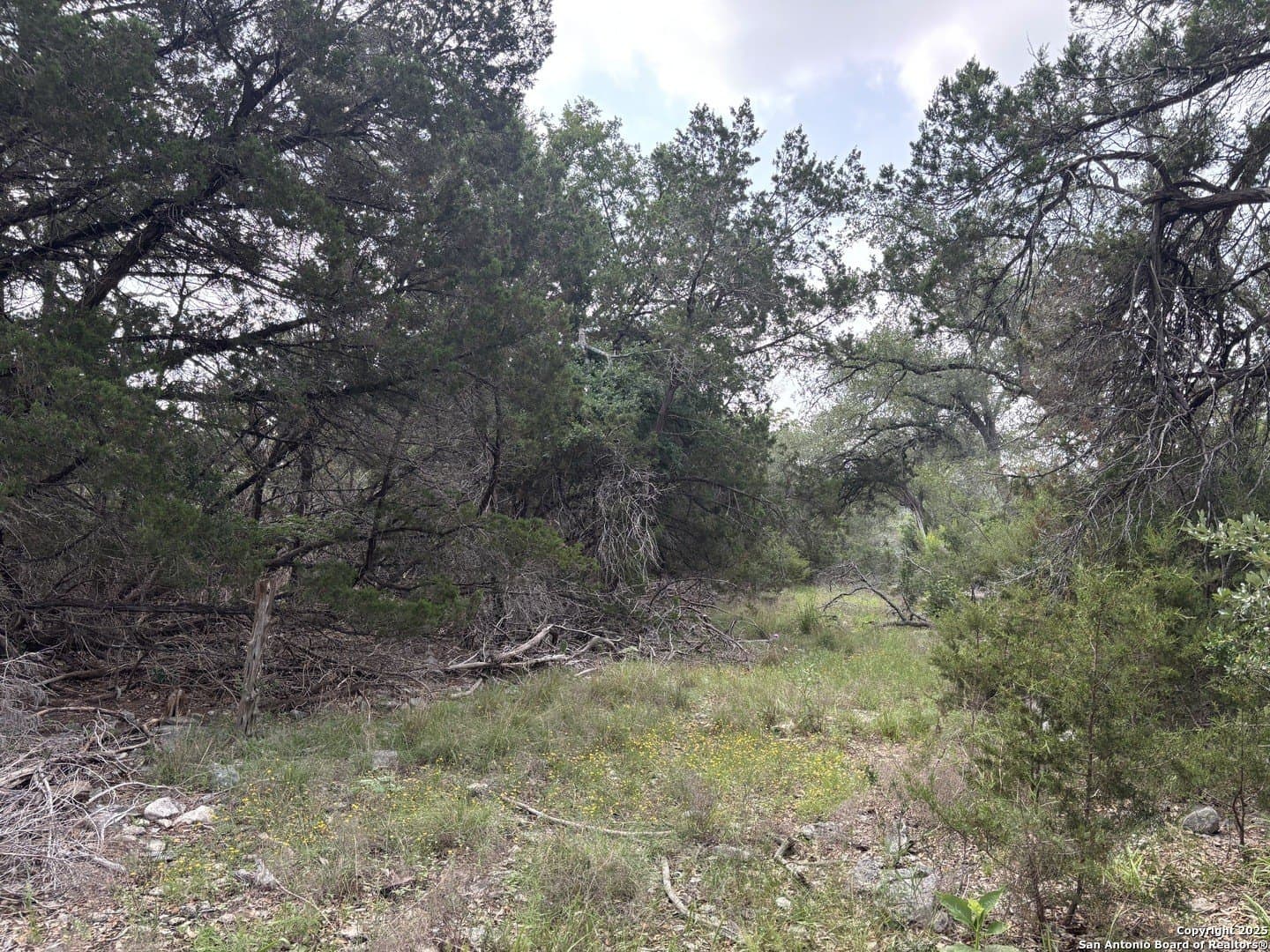 1.37 acres in Comal County - photo 2