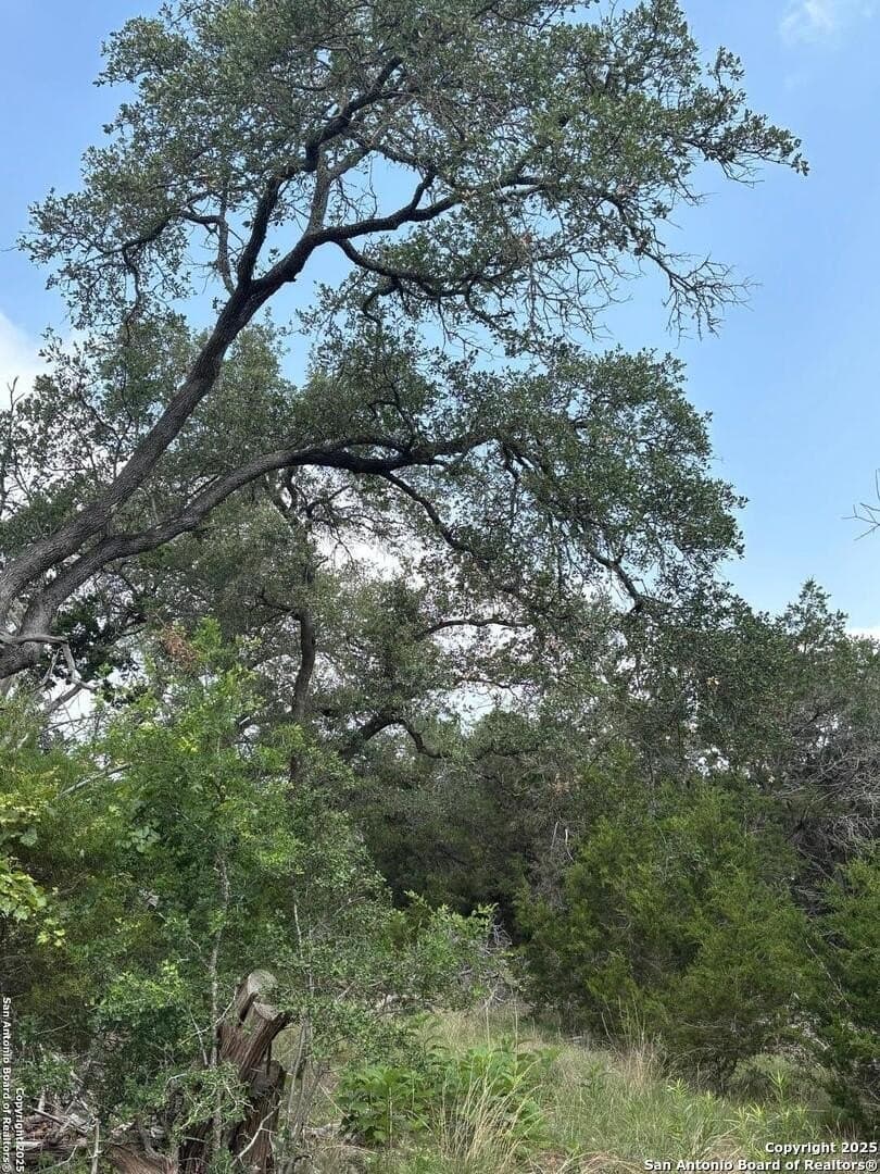 1.37 acres in Comal County - photo 8