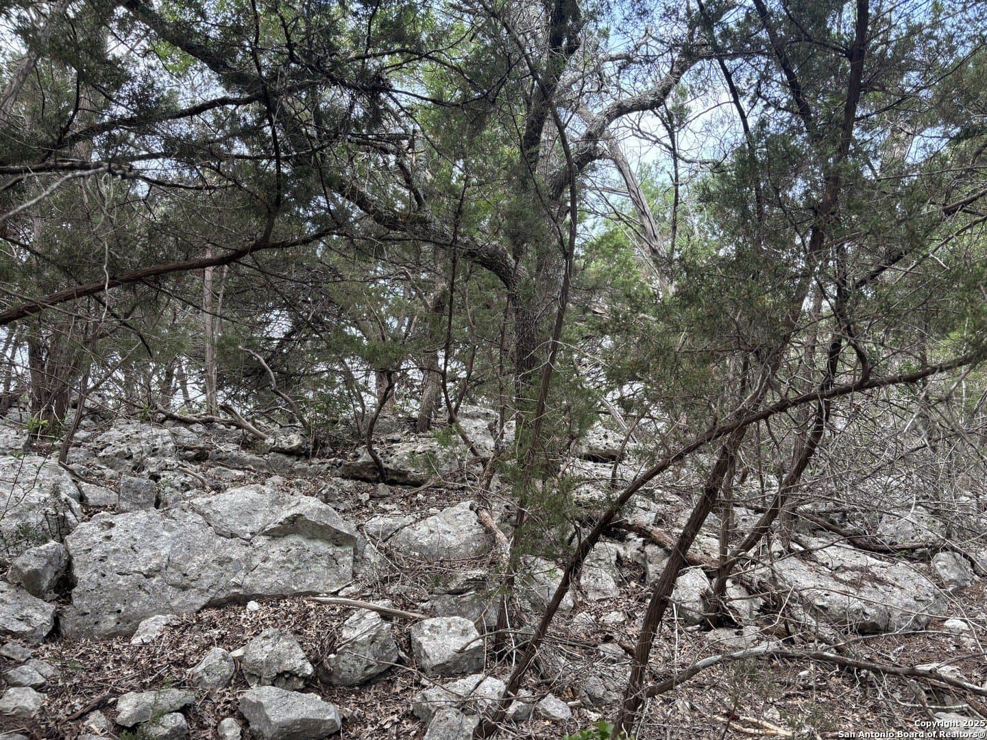 1.37 acres in Comal County - photo 7