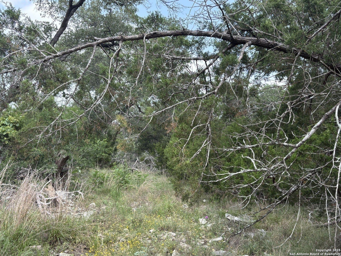 1.37 acres in Comal County - photo 3