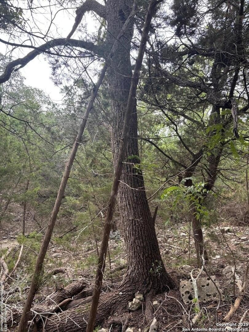 1.37 acres in Comal County - photo 9