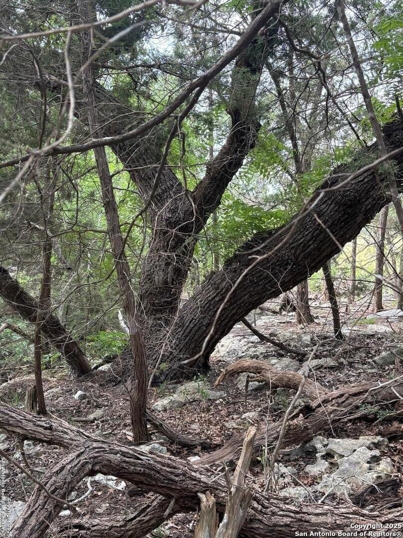 1.37 acres in Comal County - photo 10