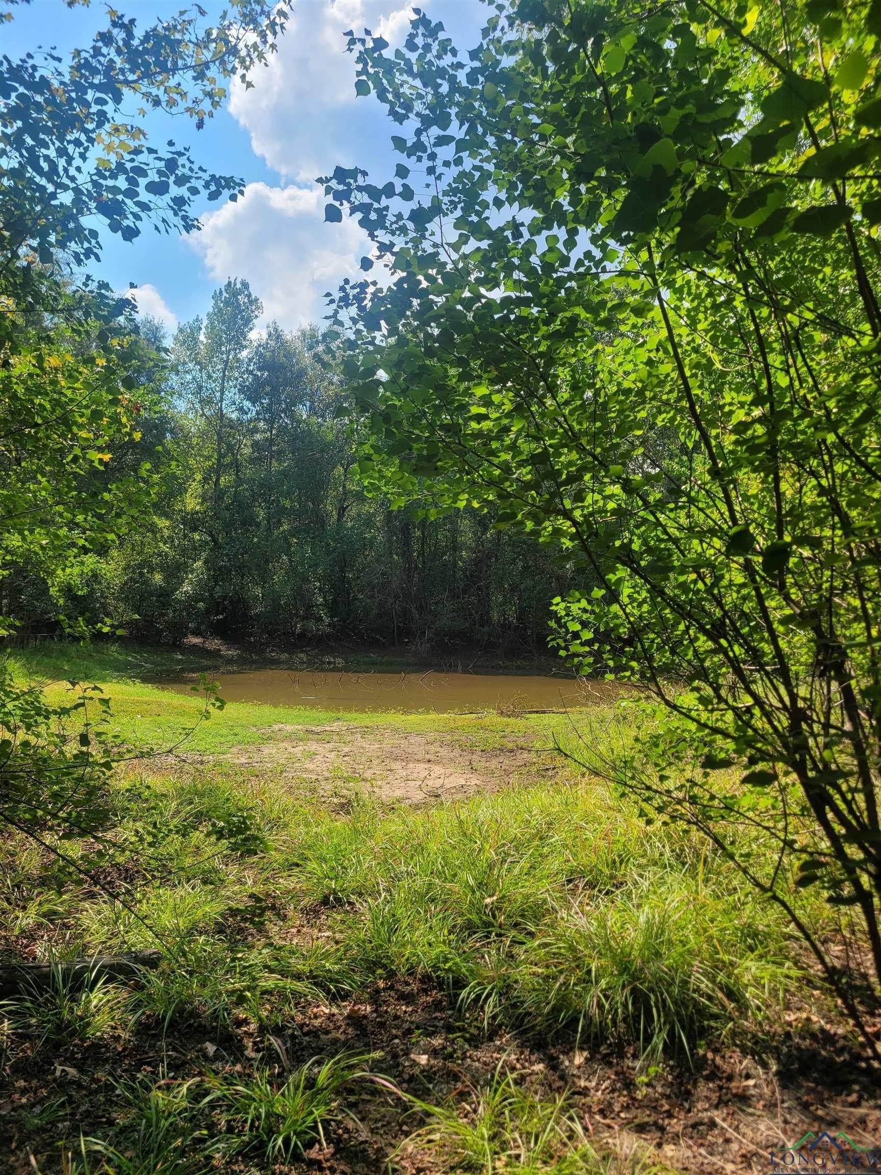 44 acres in Panola County - photo 5