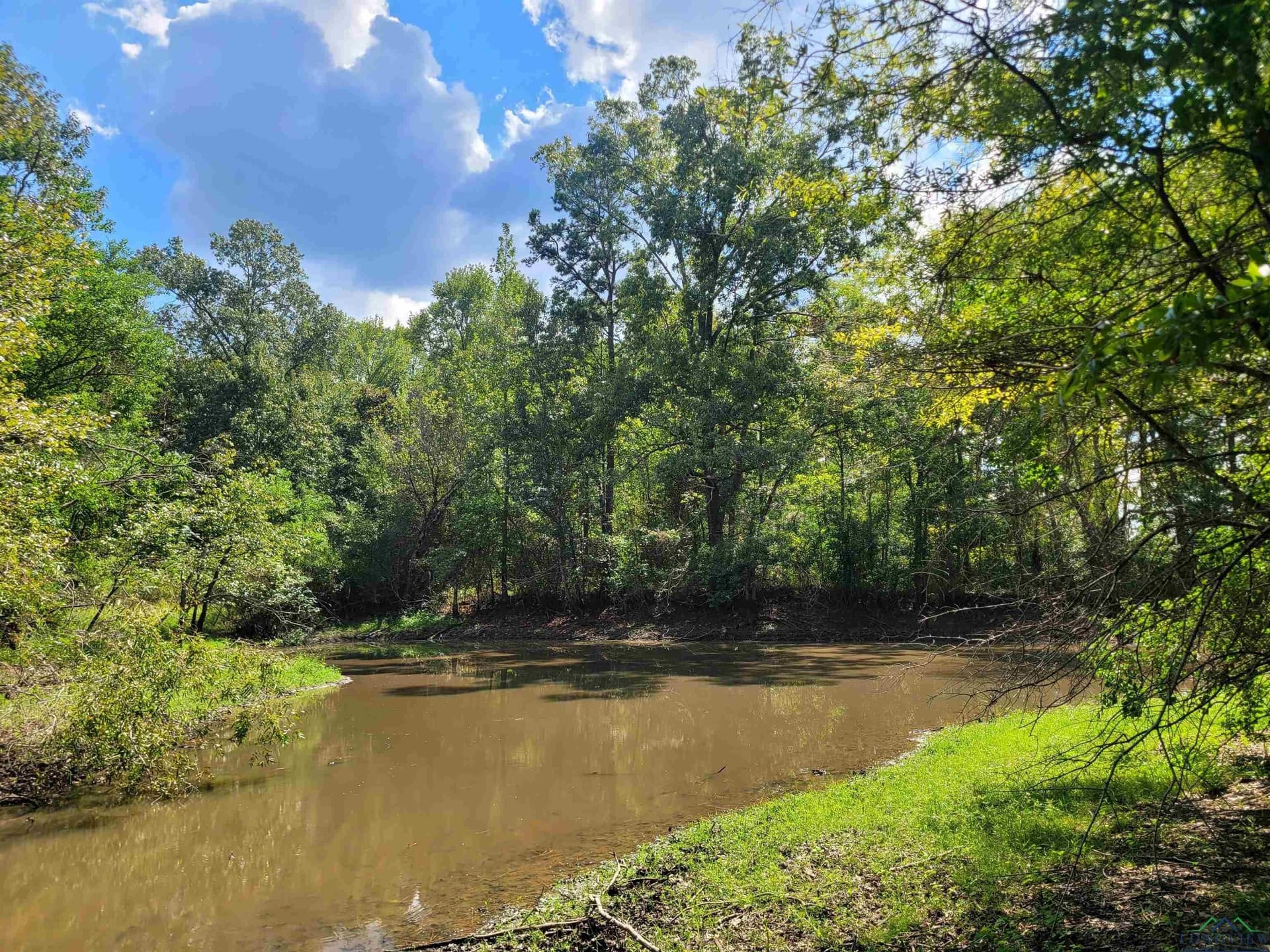 44 acres in Panola County - photo 3
