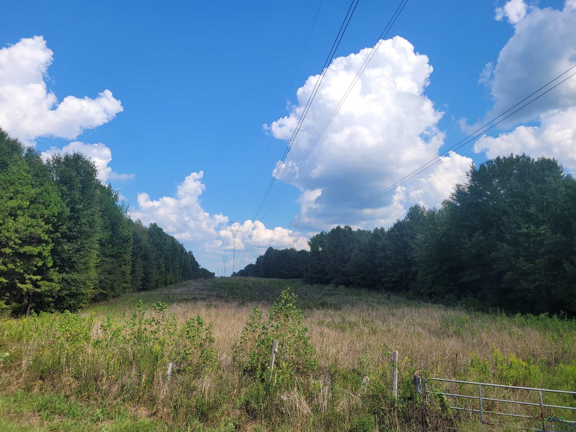 44 acres in Panola County - photo 2