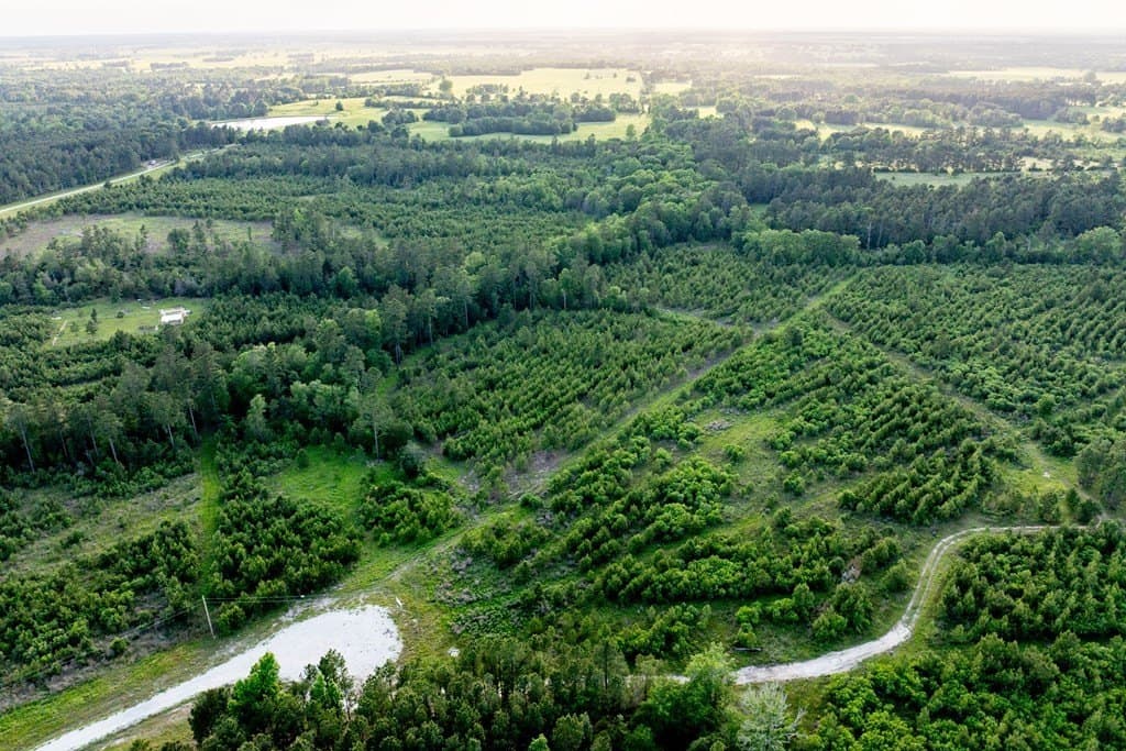 10.01 acres in HOUSTON County - photo 20