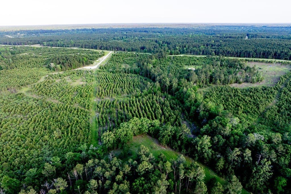 10.01 acres in HOUSTON County - photo 14