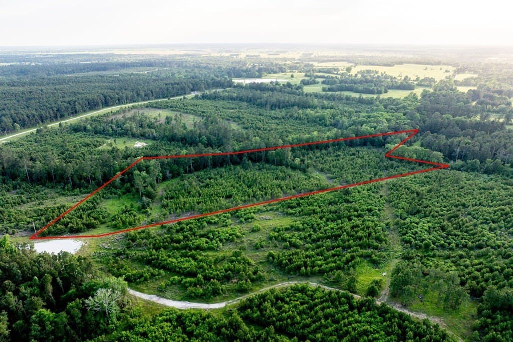 10.01 acres in HOUSTON County - photo 17
