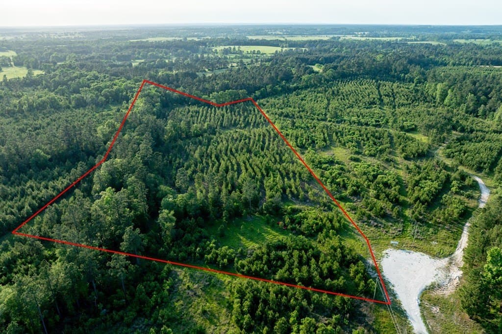 10.01 acres in HOUSTON County - photo 3
