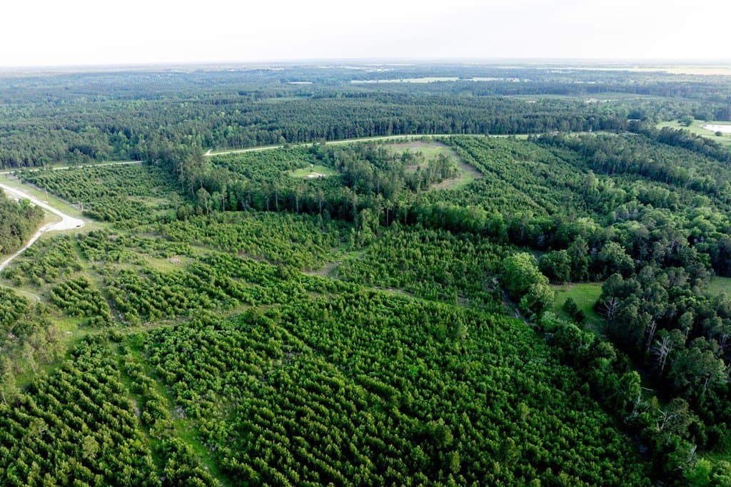 10.01 acres in HOUSTON County - photo 16
