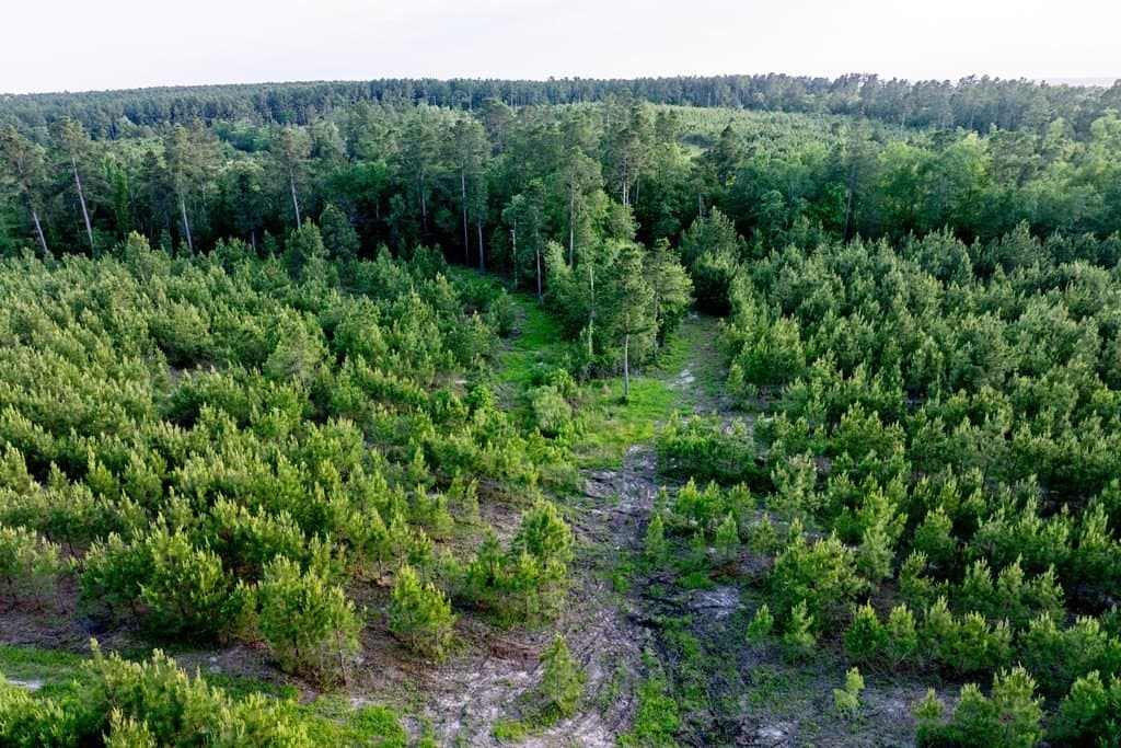 10.01 acres in HOUSTON County - photo 22