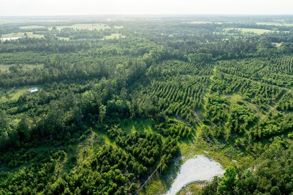 10.01 acres in HOUSTON County - photo 2