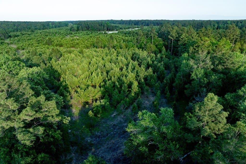 10.01 acres in HOUSTON County - photo 23