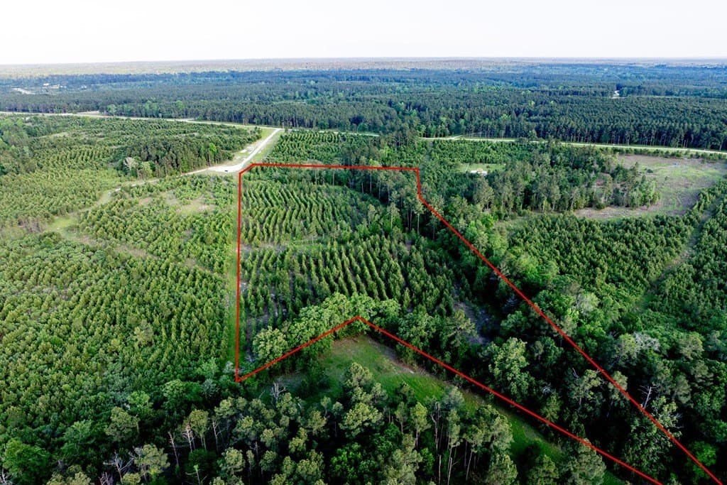 10.01 acres in HOUSTON County - photo 13