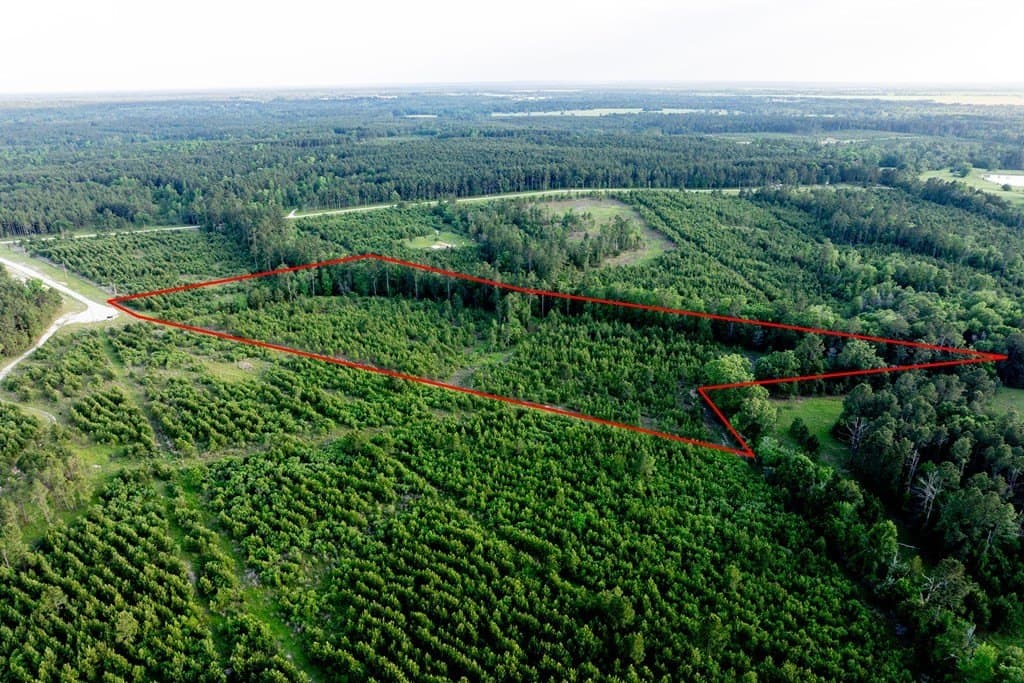 10.01 acres in HOUSTON County - photo 15
